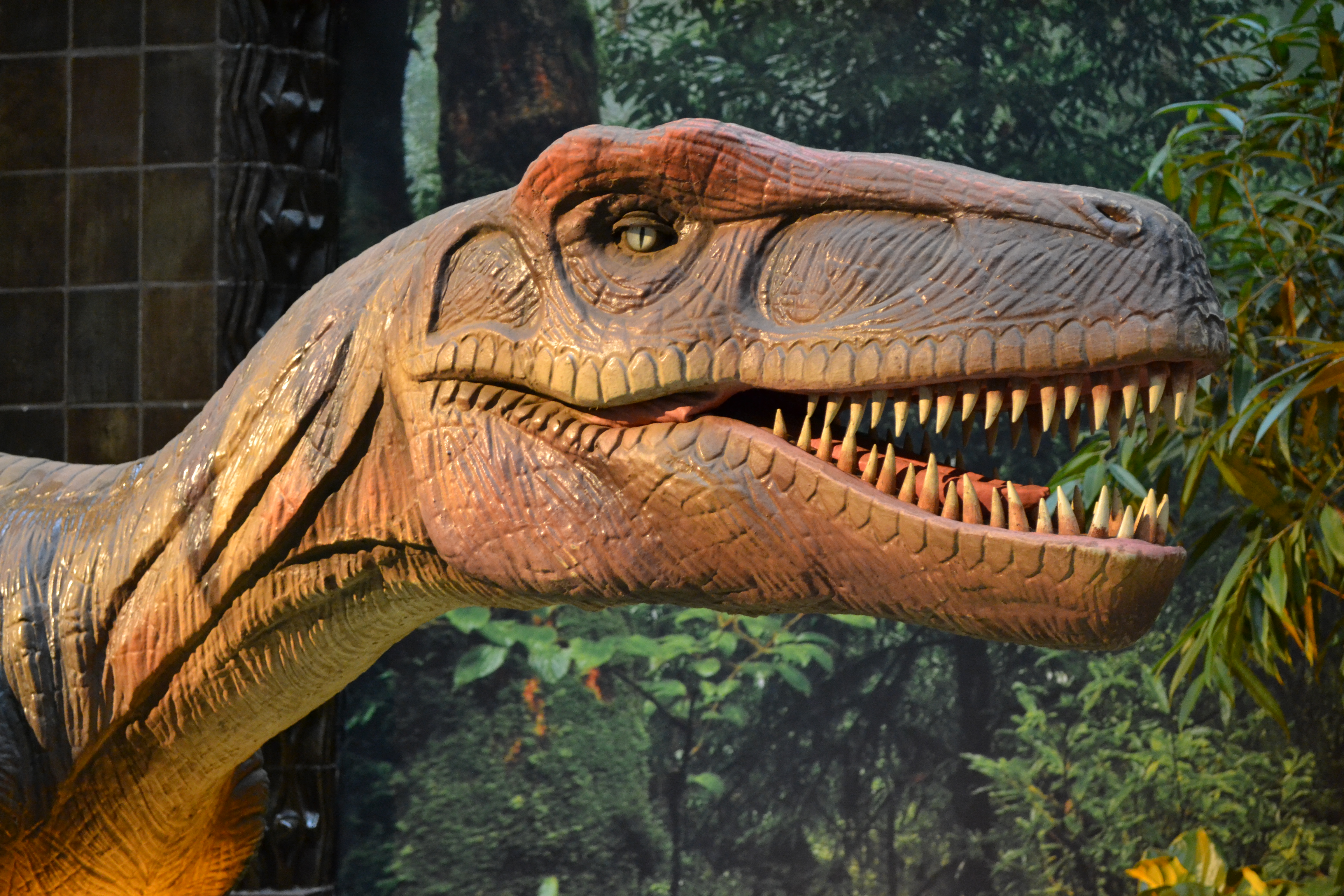 dinosaur with wings on head