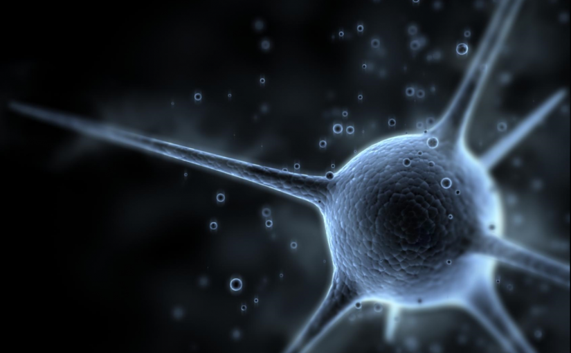 We Just Created an Artificial Synapse That Can Learn Autonomously