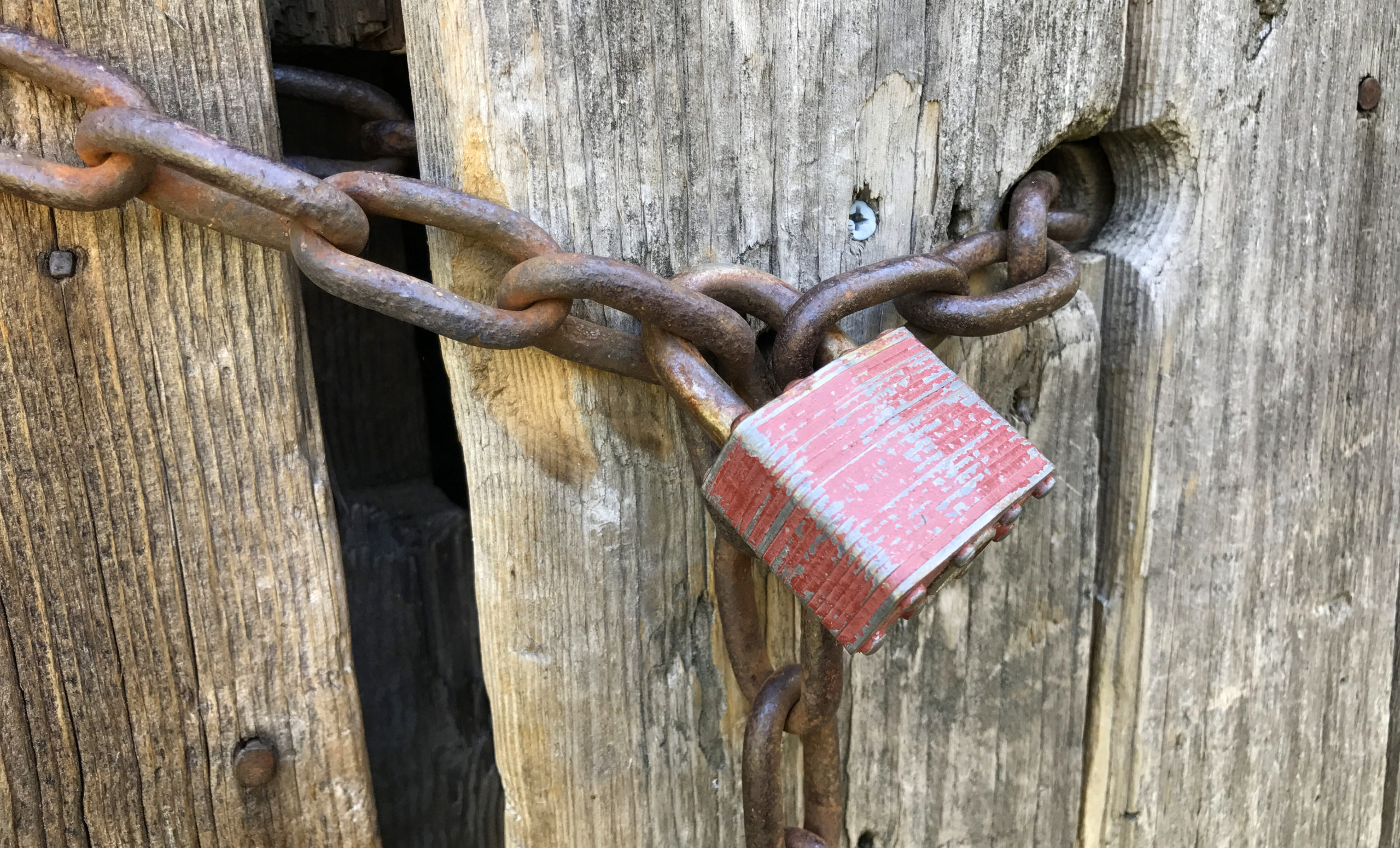 Heavy chain and lock on old wooden doors